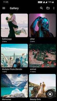 Gallery screenshot 2
