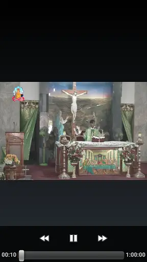 Vailankanni Shrine Live Mass screenshot 2