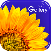 Gallery icon