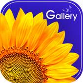 Gallery 1.0.0