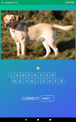 Dog Quiz: Guess the Breed — Game, Pictures, Test screenshot 18
