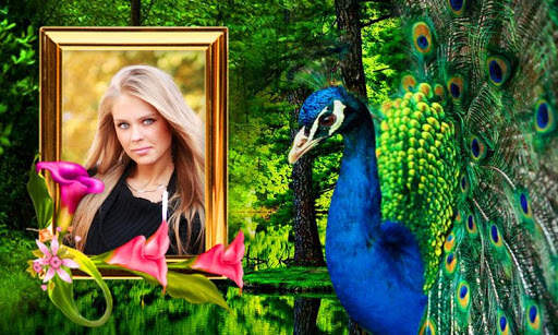 Peacock Photo Frames HD screenshot 5