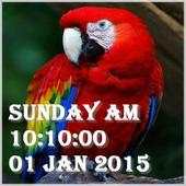 Macaw Bird Live Wallpaper 1.0