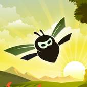 Ninja Bee 1