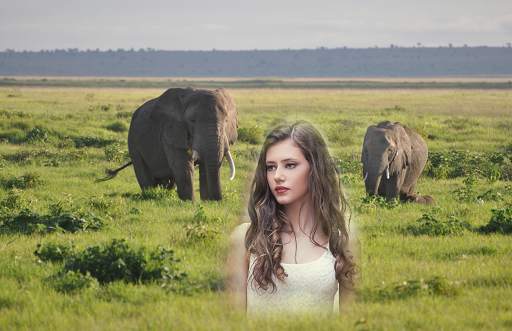 Animal Photo Frames - Wild Animal Photo Editor screenshot 4