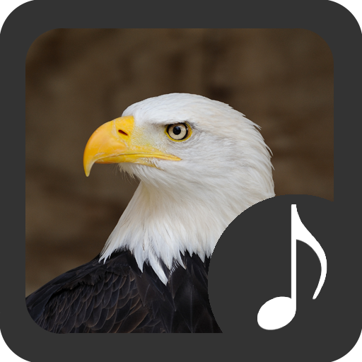 ikon Bald Eagle Sounds