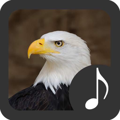 Bald Eagle Sounds 3.2.1