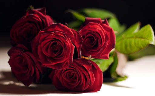 Red Rose Wallpapers screenshot 7