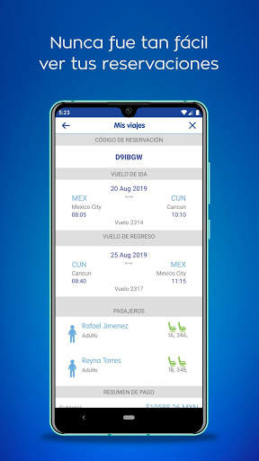 Interjet screenshot 4