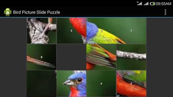 Bird Jig Saw Puzzle screenshot 1