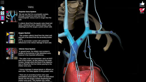 Anatomy Learning - 3D Anatomy Atlas screenshot 14