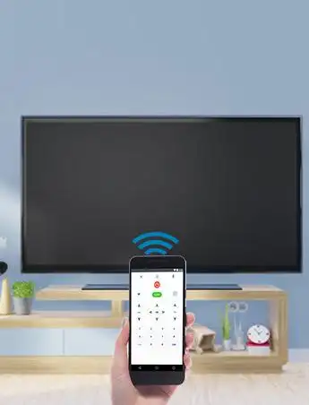 TV Remote Daewoo screenshot 3