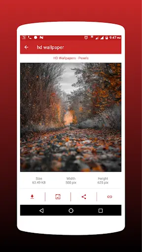 Free Image Download App screenshot 2