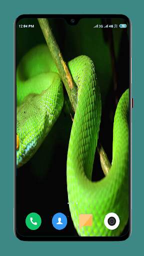 Snake Wallpaper HD screenshot 16