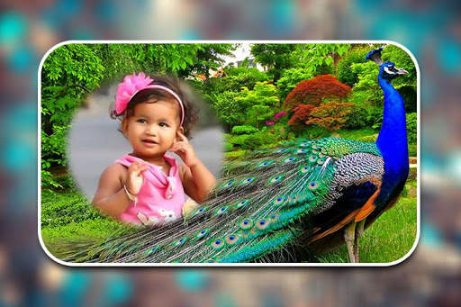 Peacock Photo Frames screenshot 8