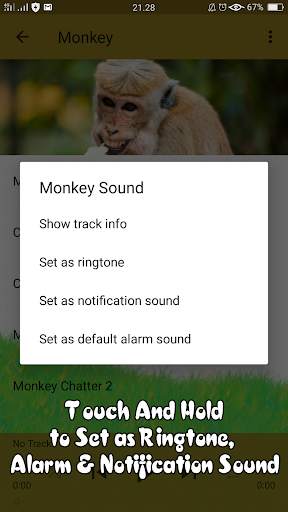 Animal Sounds screenshot 1