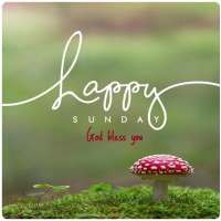 Sunday Blessings icon
