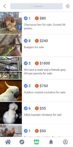 BirdsTown - Social network for bird breeders screenshot 3