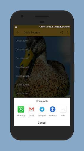 Duck Sounds screenshot 5