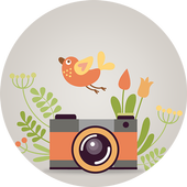 Sonata Camera icon