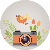 Sonata Camera 1.0.0