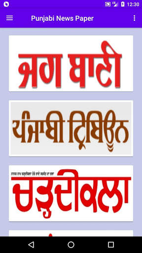 Punjabi News Papers - ePapers screenshot 2