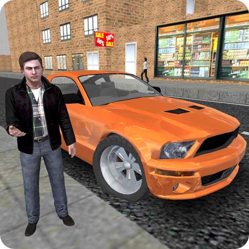 Driving School Car Parking 3D 1.3