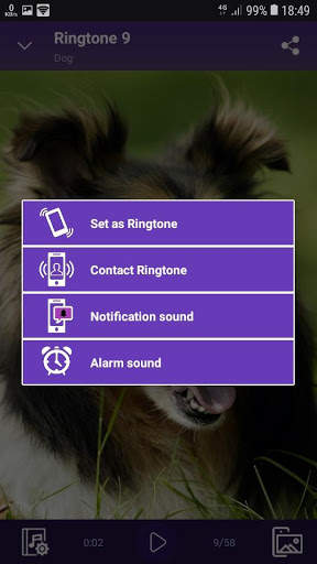 Dog - RINGTONES and WALLPAPERS screenshot 5