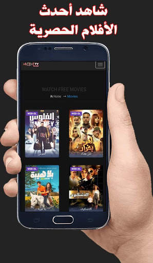 شوف تي ڤي _ Shoof TV screenshot 2
