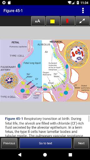Rudolph's Pediatrics, 23rd Edition screenshot 7