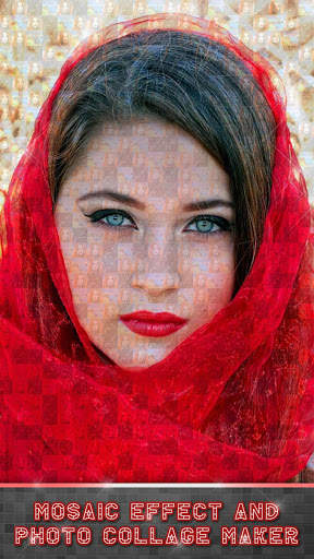 Mosaic Photo Creator - Camera Effects for Pictures screenshot 5