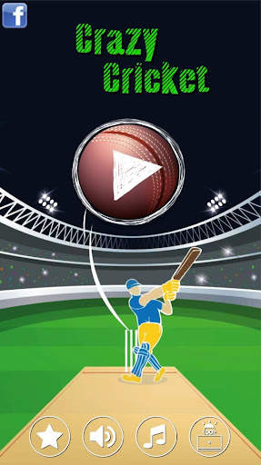 Crazy Cricket screenshot 1