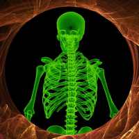 Wall Scanner Xray Prank on 9Apps