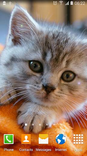 Cute Animals Live Wallpaper screenshot 2