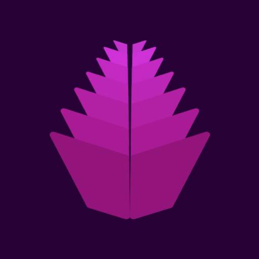 Wally 3.3.8