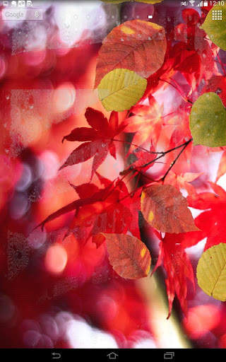 Spring Leaf wallpapers screenshot 3