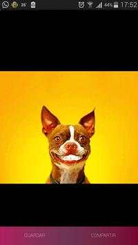 Animated Funny GIFs screenshot 5