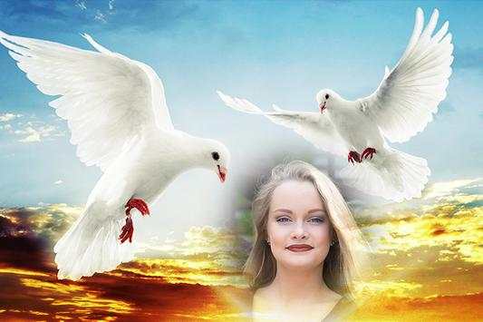 Cool Amazing Dove Photo Frames screenshot 3