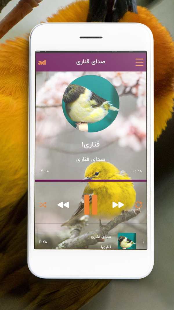 آموزش آواز قناری و سهره screenshot 4