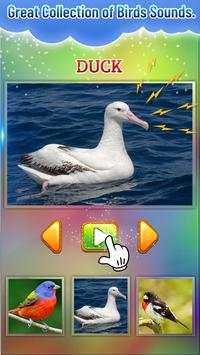 Bird Sound screenshot 2