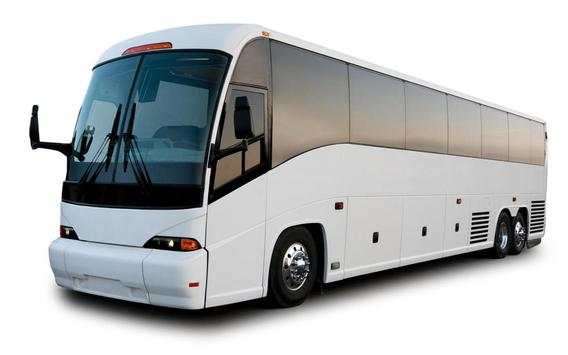 Tour Bus Game screenshot 4