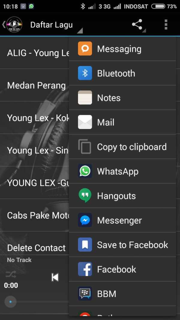 Lagu Young Lex Lengkap screenshot 3