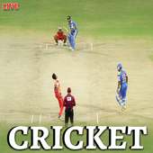 TV Cricket Live : All Cricket Info logo