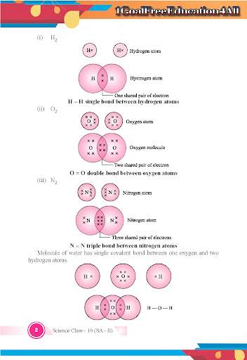 Class 10 Chemistry Term 2 screenshot 4