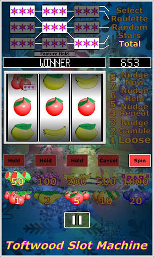 Slot Machine. Casino Slots. screenshot 5