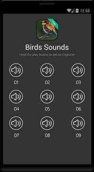 Birds (animal) Sound and Ringtones screenshot 4