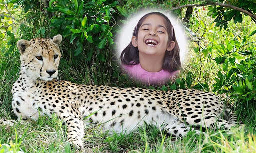 Wild Animal Photo Frames HD screenshot 6