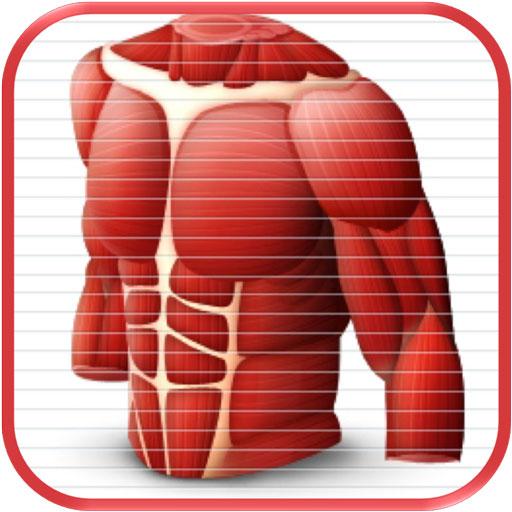 Anatomy Comprehensive Review L icon