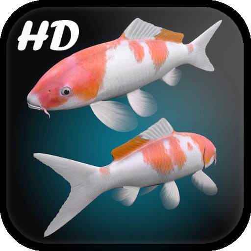 Koi Fish Live Wallpaper 3D 1.5