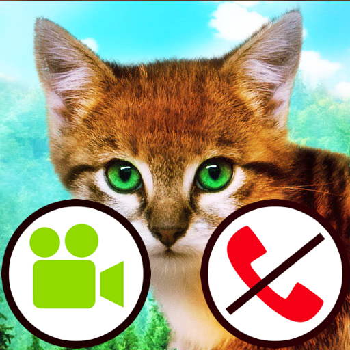 fake call video cat game icon